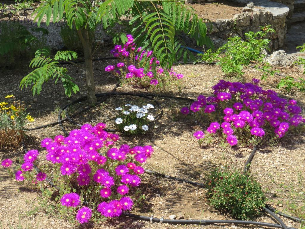 Le Clos Des Canebiers Bed and Breakfast Γκρας Εξωτερικό φωτογραφία